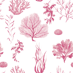 Pink Sea Pattern - Sample Kit